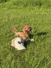 Hemp Cap (PRE-ORDER)